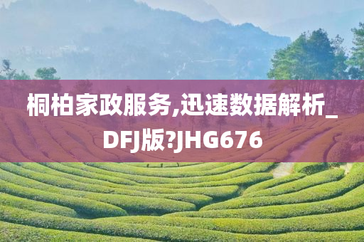 桐柏家政服务,迅速数据解析_DFJ版?JHG676