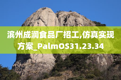 滨州成润食品厂招工,仿真实现方案_PalmOS31.23.34