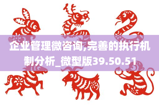 企业管理微咨询,完善的执行机制分析_微型版39.50.51