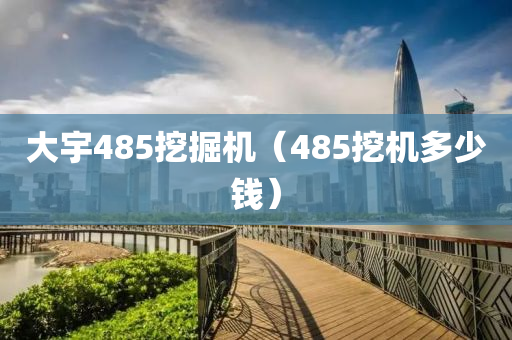 大宇485挖掘机（485挖机多少钱）