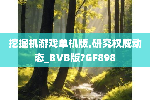 挖掘机游戏单机版,研究权威动态_BVB版?GF898