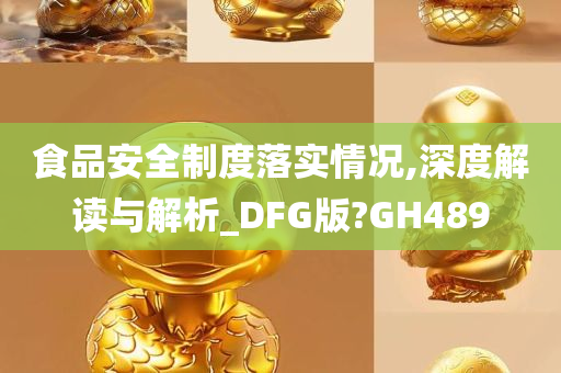 食品安全制度落实情况,深度解读与解析_DFG版?GH489