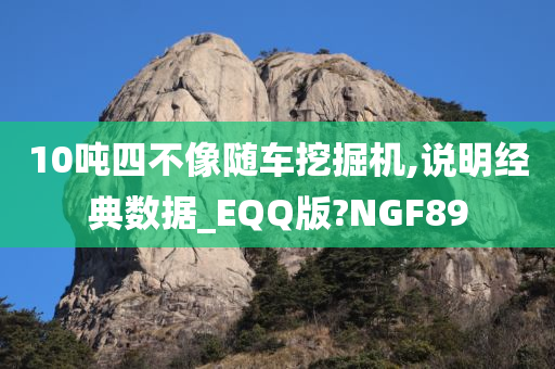 10吨四不像随车挖掘机,说明经典数据_EQQ版?NGF89