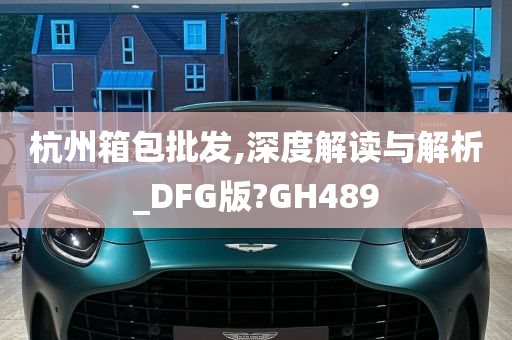 杭州箱包批发,深度解读与解析_DFG版?GH489