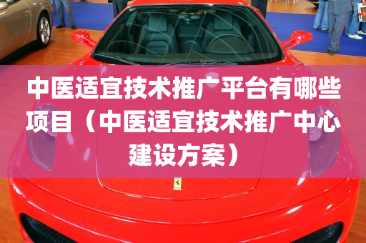 中医适宜技术推广平台有哪些项目（中医适宜技术推广中心建设方案）