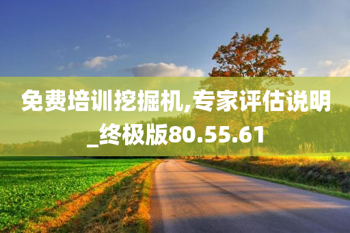 免费培训挖掘机,专家评估说明_终极版80.55.61