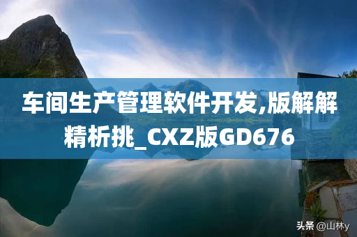 车间生产管理软件开发,版解解精析挑_CXZ版GD676