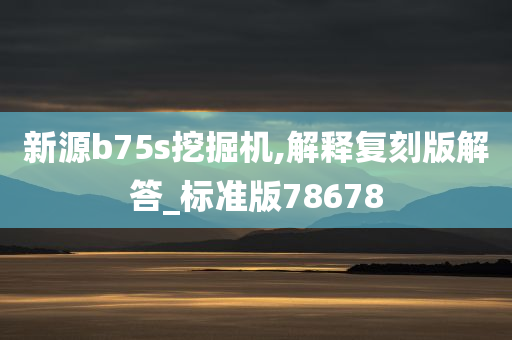 新源b75s挖掘机,解释复刻版解答_标准版78678