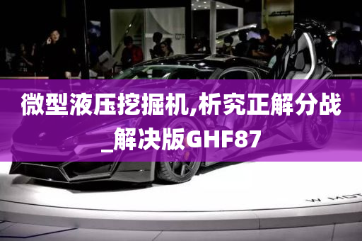 微型液压挖掘机,析究正解分战_解决版GHF87