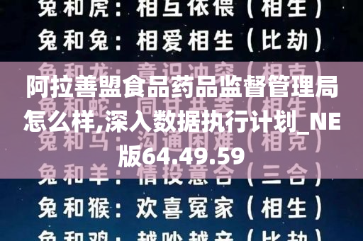 阿拉善盟食品药品监督管理局怎么样,深入数据执行计划_NE版64.49.59