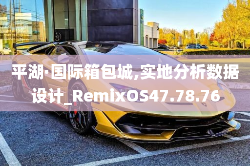 平湖·国际箱包城,实地分析数据设计_RemixOS47.78.76