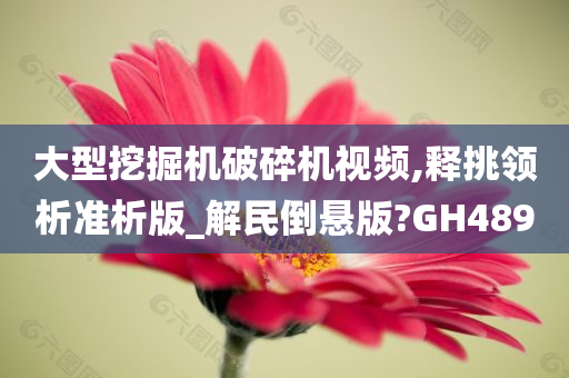 大型挖掘机破碎机视频,释挑领析准析版_解民倒悬版?GH489