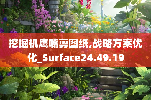 挖掘机鹰嘴剪图纸,战略方案优化_Surface24.49.19