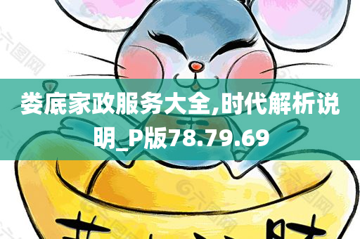 娄底家政服务大全,时代解析说明_P版78.79.69