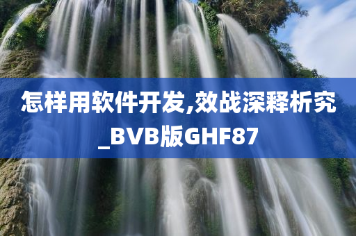 怎样用软件开发,效战深释析究_BVB版GHF87