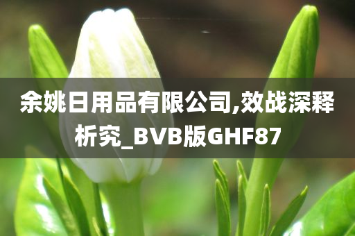 余姚日用品有限公司,效战深释析究_BVB版GHF87