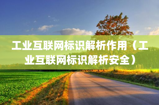 工业互联网标识解析作用（工业互联网标识解析安全）