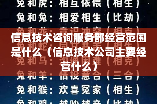 信息技术咨询服务部经营范围是什么（信息技术公司主要经营什么）