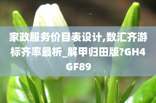 家政服务价目表设计,数汇齐游标齐率最析_解甲归田版?GH4GF89