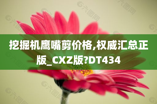 挖掘机鹰嘴剪价格,权威汇总正版_CXZ版?DT434