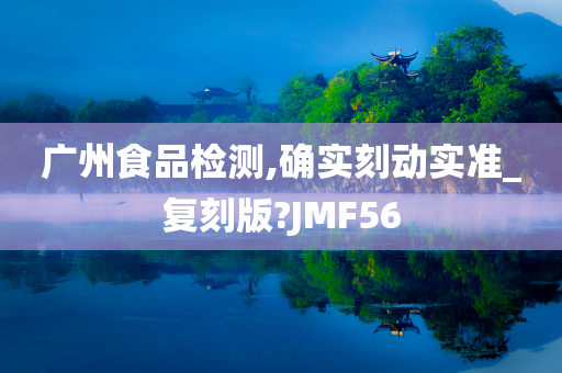 广州食品检测,确实刻动实准_复刻版?JMF56