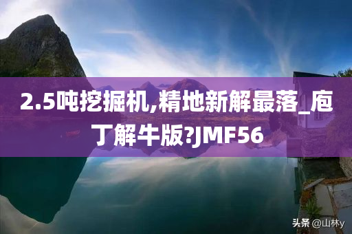 2.5吨挖掘机,精地新解最落_庖丁解牛版?JMF56