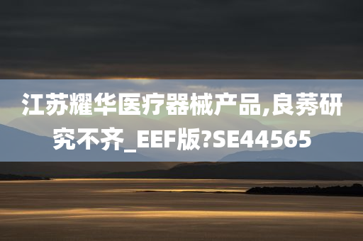 江苏耀华医疗器械产品,良莠研究不齐_EEF版?SE44565