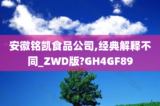 安徽铭凯食品公司,经典解释不同_ZWD版?GH4GF89