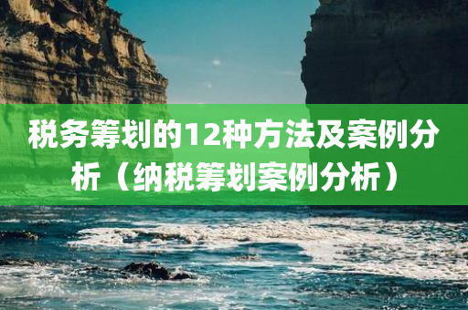 税务筹划的12种方法及案例分析（纳税筹划案例分析）