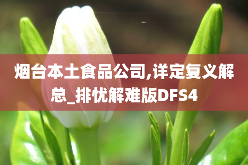 烟台本土食品公司,详定复义解总_排忧解难版DFS4