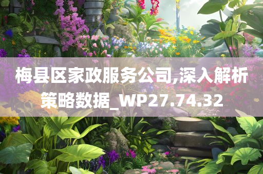 梅县区家政服务公司,深入解析策略数据_WP27.74.32