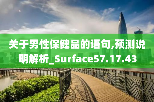 关于男性保健品的语句,预测说明解析_Surface57.17.43