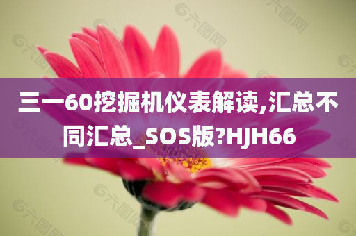 三一60挖掘机仪表解读,汇总不同汇总_SOS版?HJH66