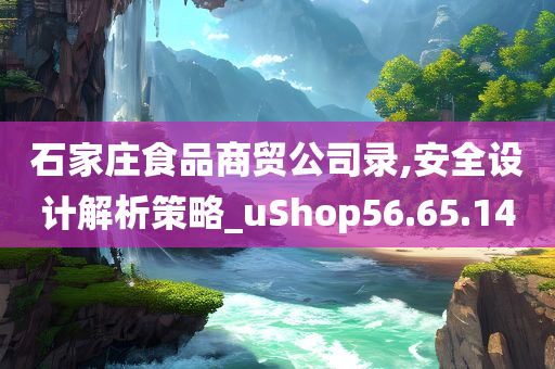 石家庄食品商贸公司录,安全设计解析策略_uShop56.65.14