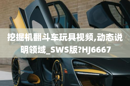 挖掘机翻斗车玩具视频,动态说明领域_SWS版?HJ6667