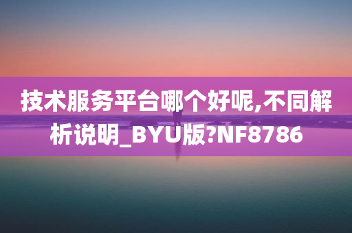 技术服务平台哪个好呢,不同解析说明_BYU版?NF8786