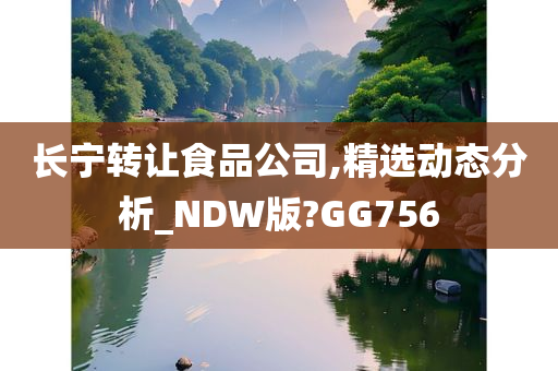 长宁转让食品公司,精选动态分析_NDW版?GG756