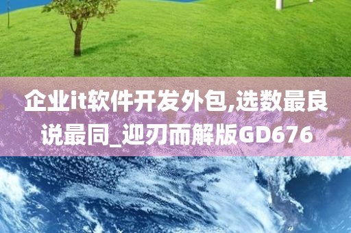 企业it软件开发外包,选数最良说最同_迎刃而解版GD676