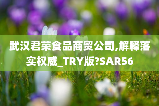 武汉君荣食品商贸公司,解释落实权威_TRY版?SAR56