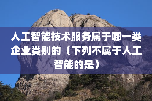 人工智能技术服务属于哪一类企业类别的（下列不属于人工智能的是）