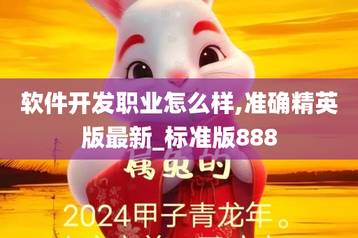 软件开发职业怎么样,准确精英版最新_标准版888