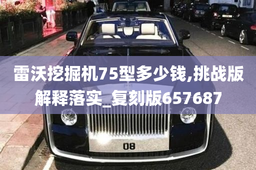 雷沃挖掘机75型多少钱,挑战版解释落实_复刻版657687