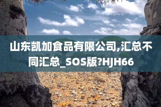 山东凯加食品有限公司,汇总不同汇总_SOS版?HJH66