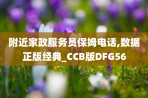 附近家政服务员保姆电话,数据正版经典_CCB版DFG56