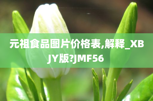 元祖食品图片价格表,解释_XBJY版?JMF56