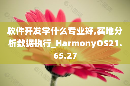 软件开发学什么专业好,实地分析数据执行_HarmonyOS21.65.27