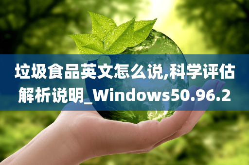 垃圾食品英文怎么说,科学评估解析说明_Windows50.96.20