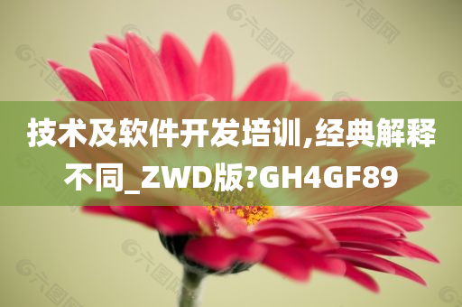 技术及软件开发培训,经典解释不同_ZWD版?GH4GF89