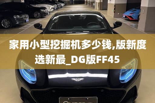 家用小型挖掘机多少钱,版新度选新最_DG版FF45