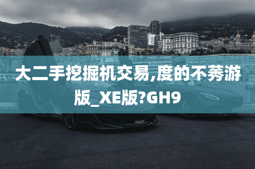 大二手挖掘机交易,度的不莠游版_XE版?GH9